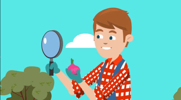 Example Of Video Nuggets 