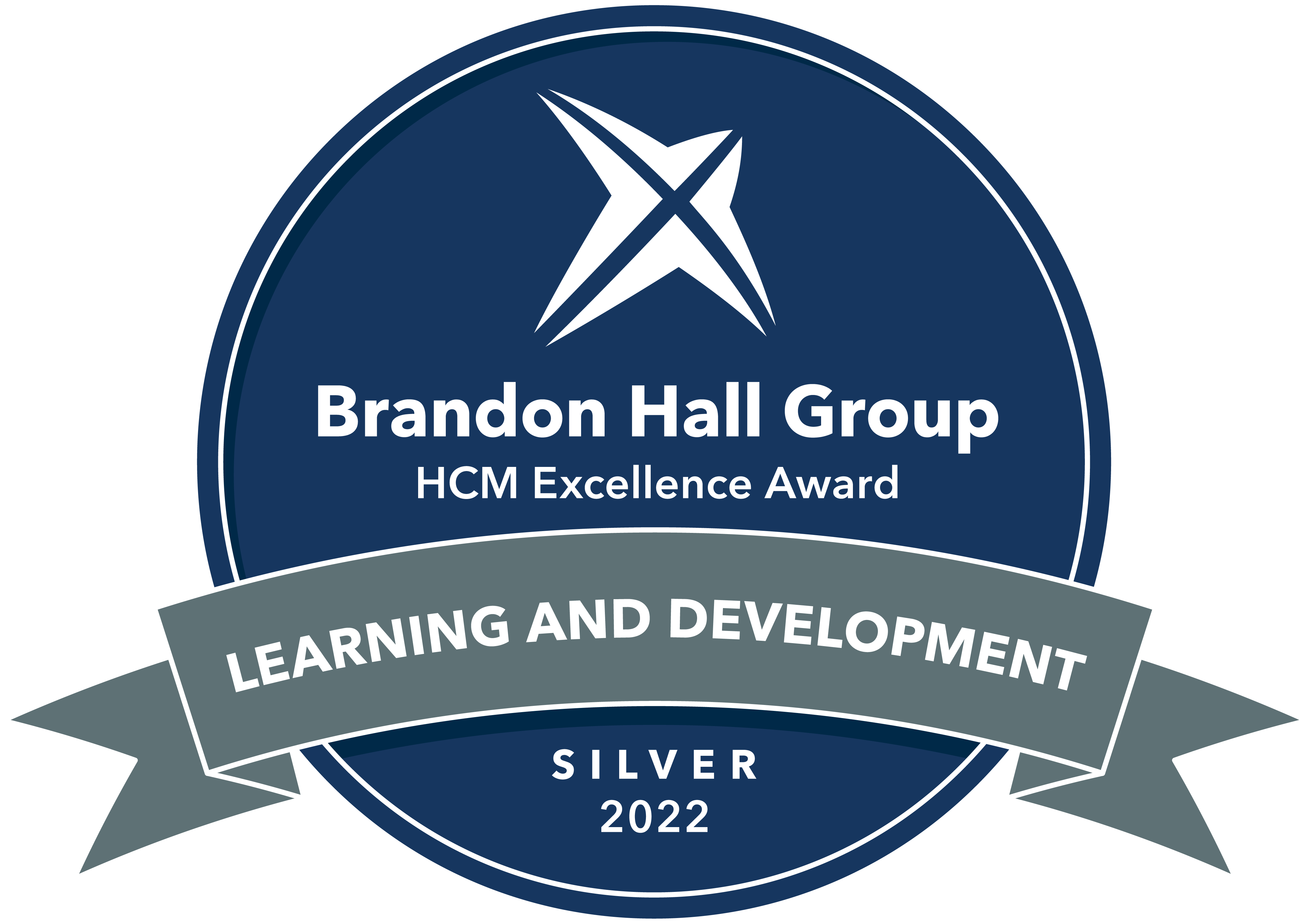 Silver for Best Results of a Learning Program Entry